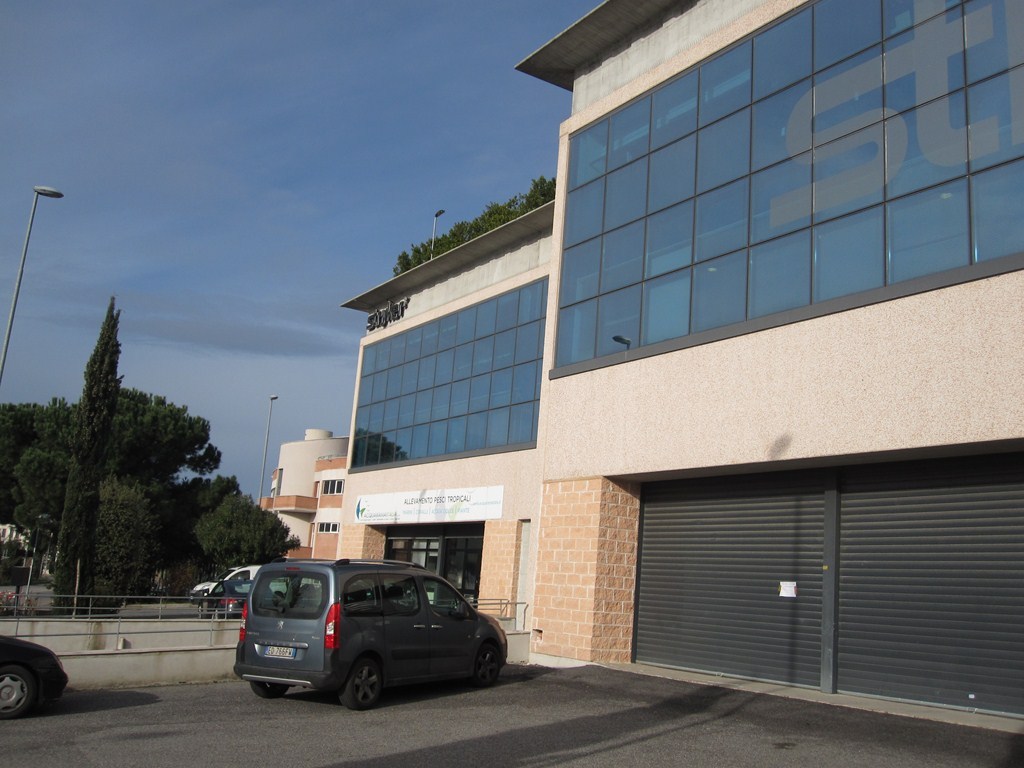 locali-in-affitto-a-formello-18